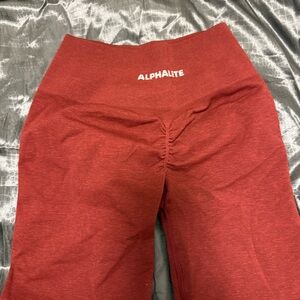 Alphalete Amplify Shorts